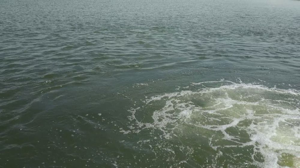 �������� ����� ���������������, ��� ���������������� ������������ �������� (��� ���ѻ) � ������� �������� ������ ������������� �������� ������� 32 ���. 615 ���������� ��