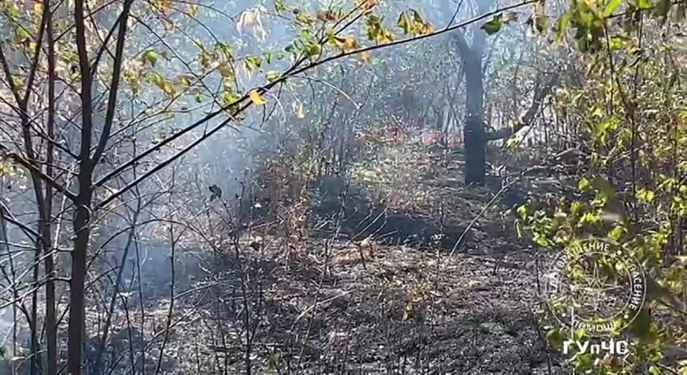 ����� ������ ����� � ���������