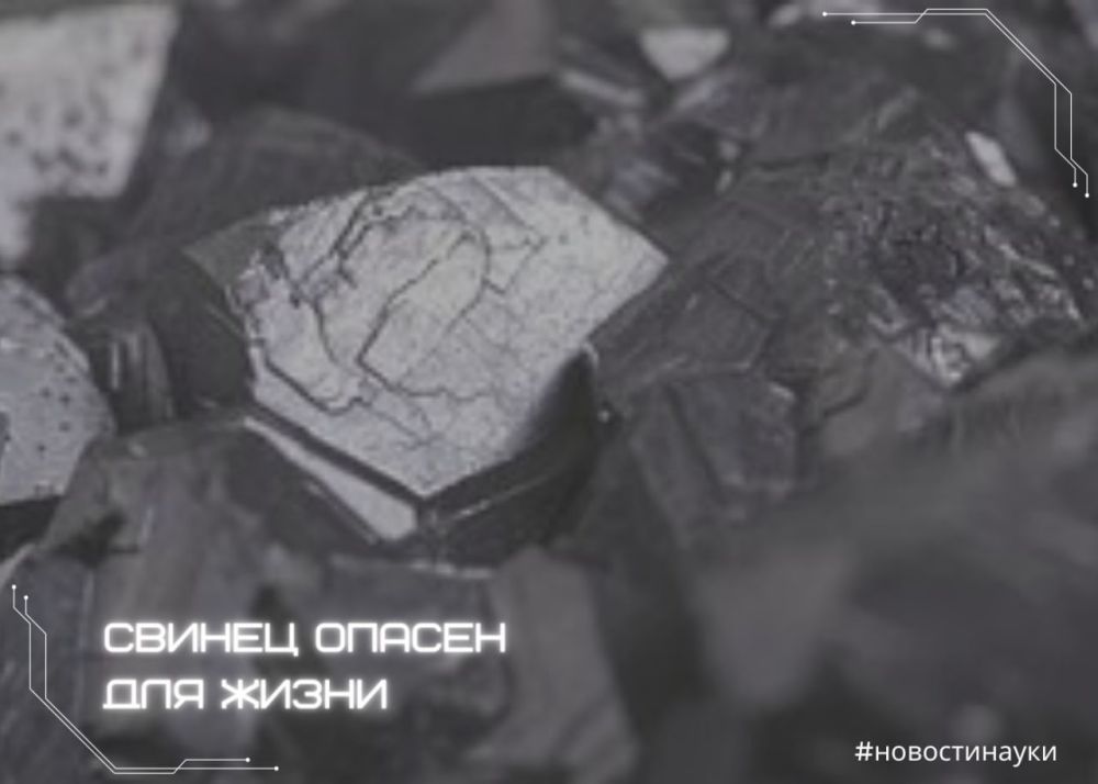 ������ �������� ����� ������� ��� ��������