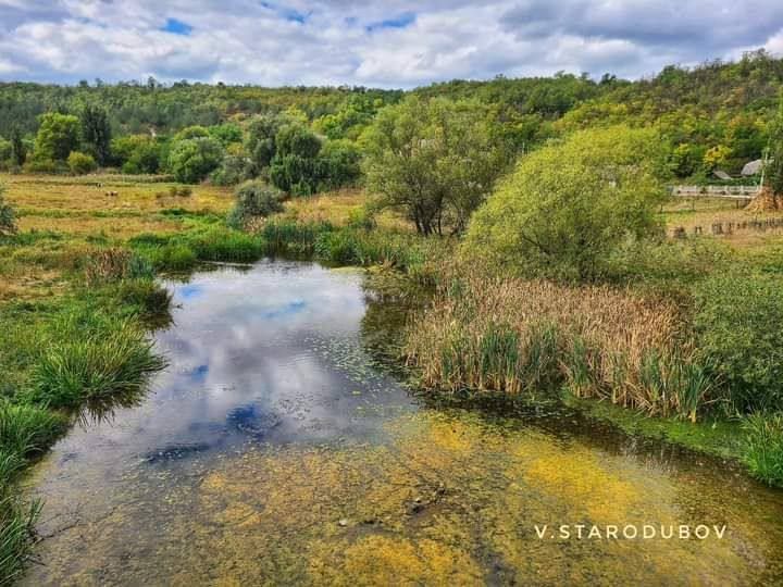 �����. ��������. ���� �������, ������������ �����.. ���� ��������� �����������