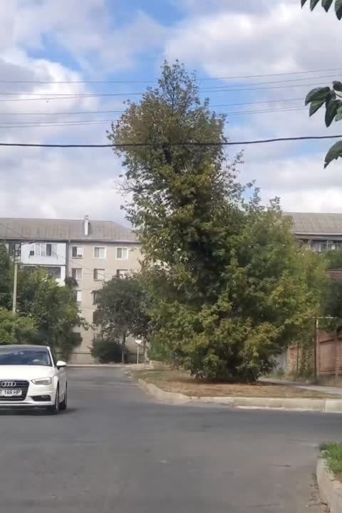 �������� ������ �� ������� ������ �������� ��������, ������� ���� �� �������