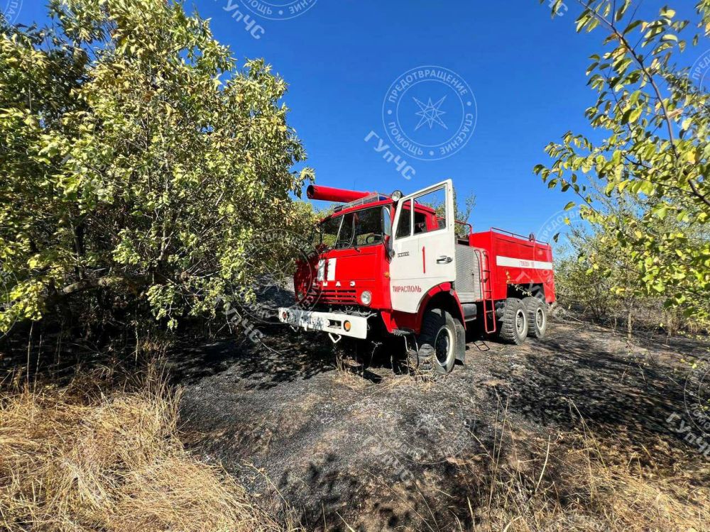 ����� � �������. ����� ������ �� �������� ������� � ����������� �������� ����� ����� �����, ������� �����, ��������