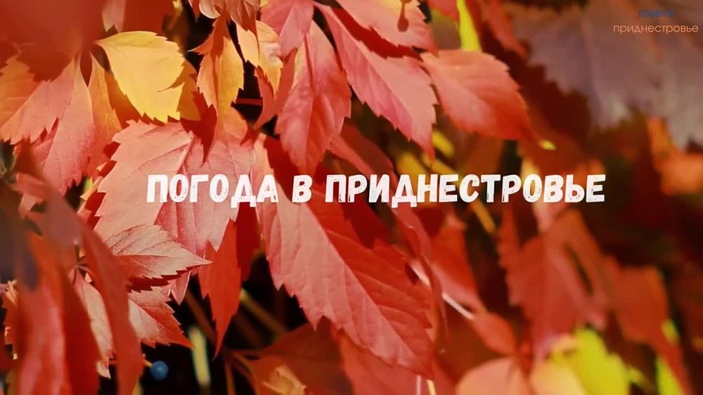 18 �������� ��������� ���������� ����������, ��� �������