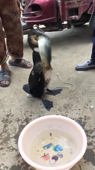 ��� ����� ���� ������ � ���� � ������� �� ��� �� 10 ����� �� ���