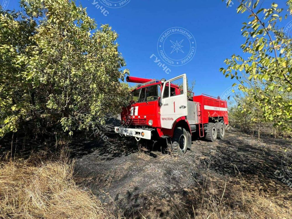 ����� � �������. �� �������� ����� ����� �����, ����� � ��������, �������� ����� � ����� ���