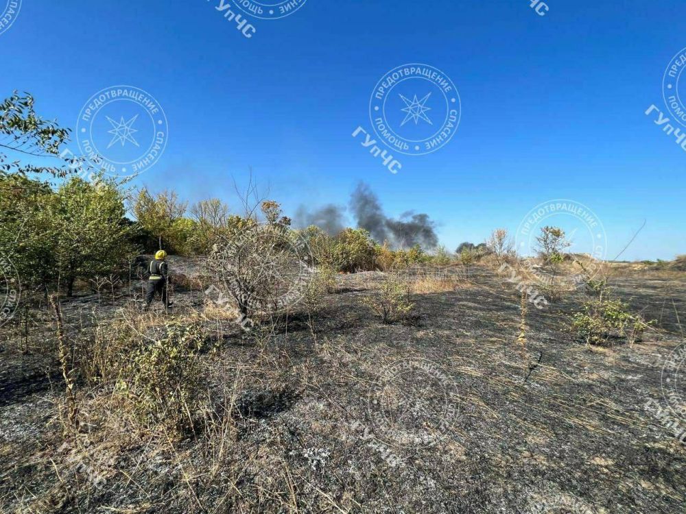 �� �������� ����� ����� �����, ����� � ��������