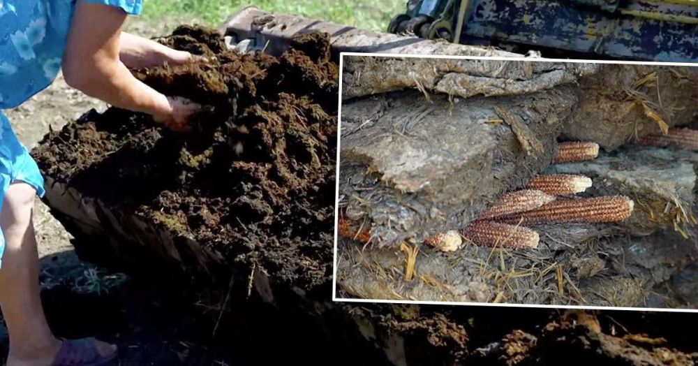 � ���������� ����� ����� ����� ������������� ����� �� ����