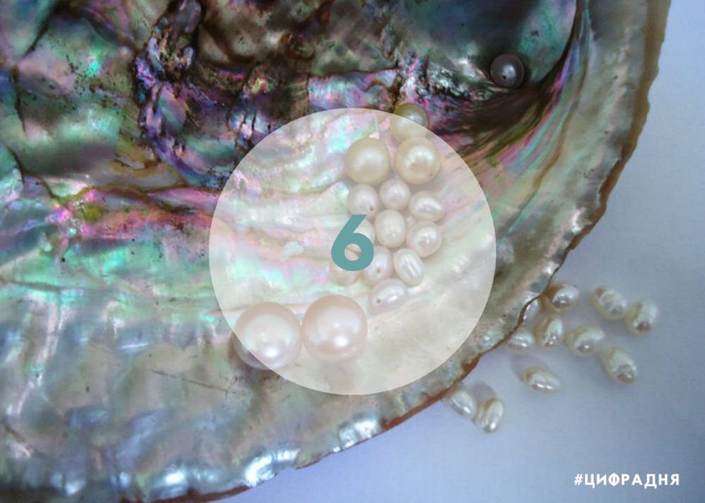 ������ ���������