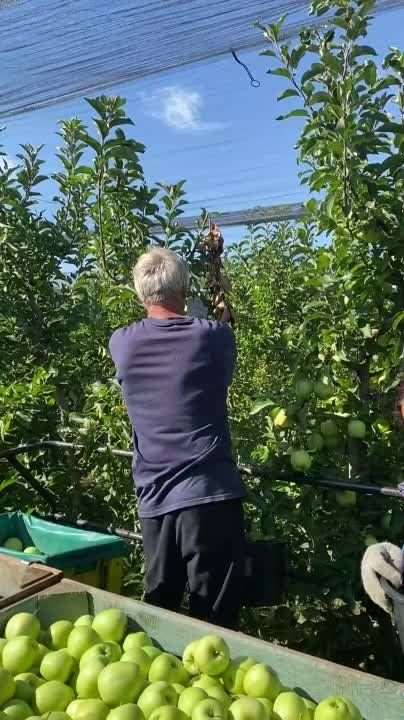 �������� � ������ ������ �������� ��� ����������