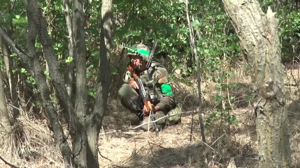 ����������, ��������� � ������������ ������� ��������� ������ � ������ ���������� ����������������� ������ ��������� ���/Rapid Trident � 2023�