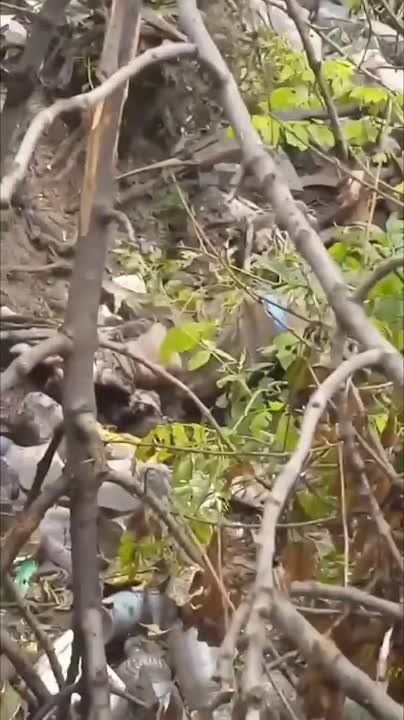 ���������� �������� �������� ���������� �������������� � ���������