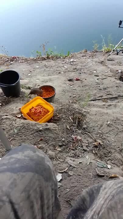 �������� ��������� � ������� �� �������, ����� ���������� ����������