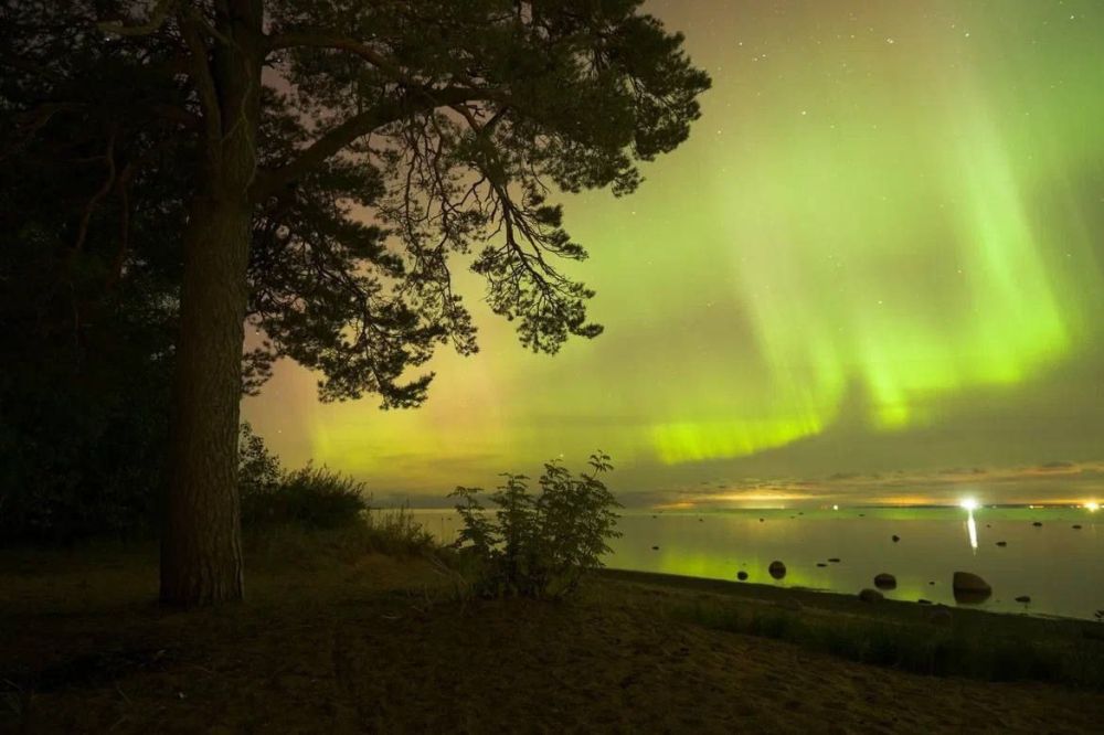 ��������� ���� ����� ������� ����� �������� ������, ������� ������ ������� ������ ���������� ������� ���������� �������