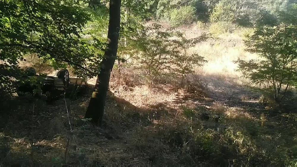 ������ �� ������ �� �������