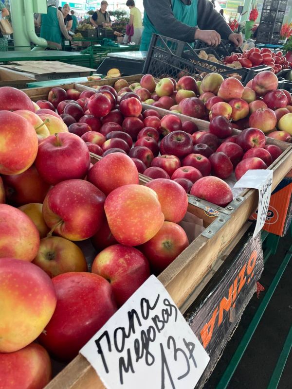 ���� �� �����:. �������� � 8-25 ������