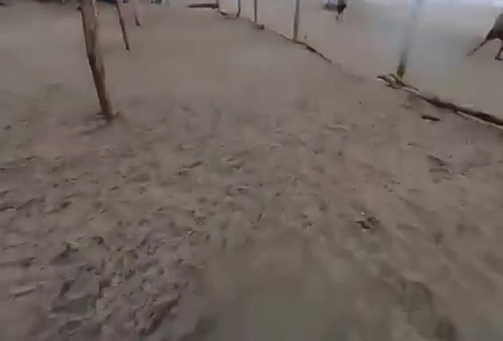 ������ ������� � ���� ����� �� ����� � �������