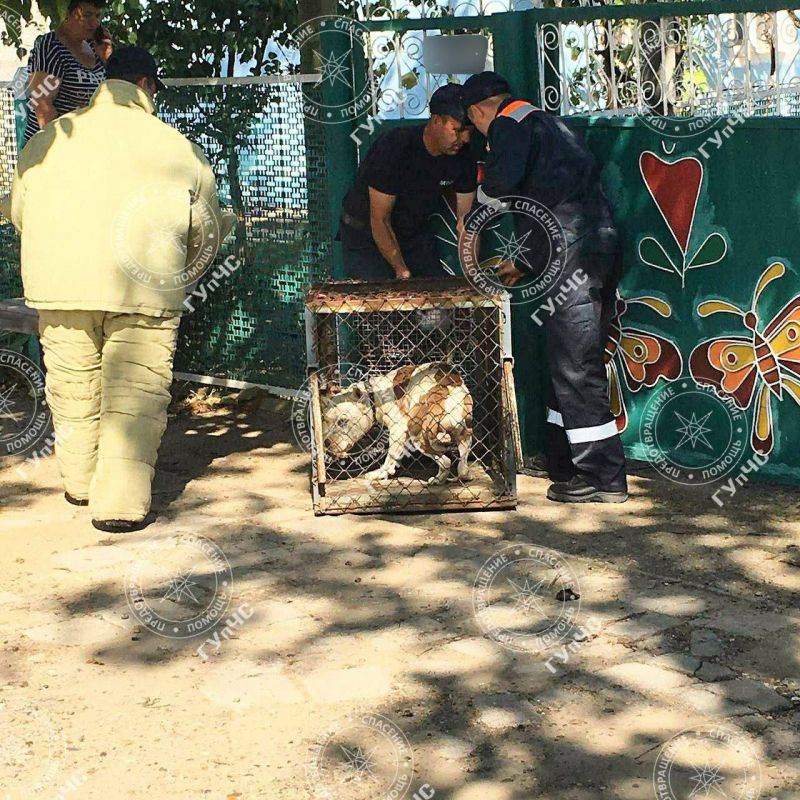 �������� ������� � ������� �������