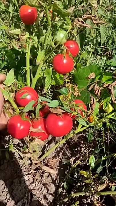 �������� ��� ������ ������� ������������ ��� ��������� ������� �������� � �������������