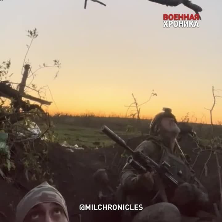 �������� ���������� ���� �������������� ����� ������� ����������