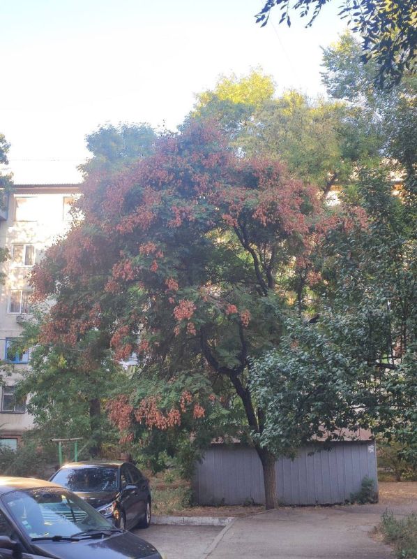 ������ ��������� ������ �����