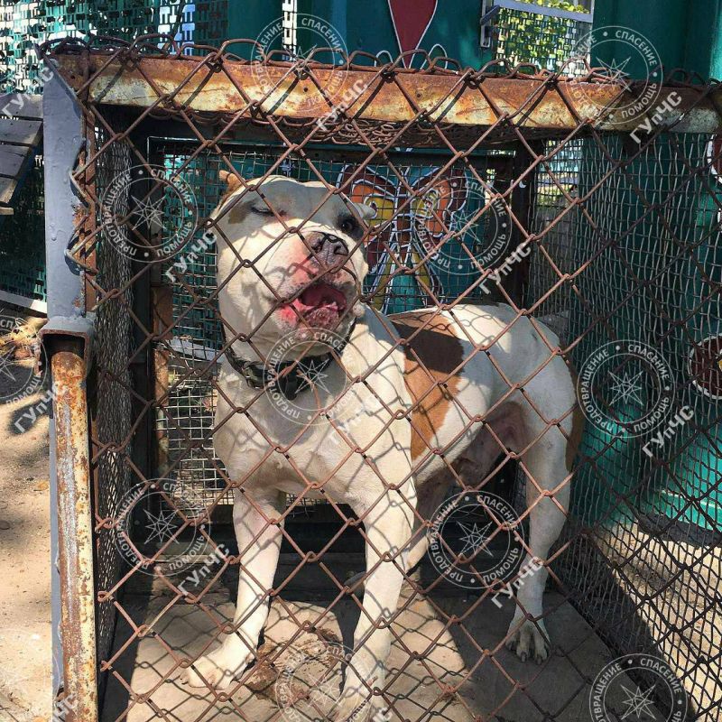 ����������� ������� ������� � ����� ���� � ���������