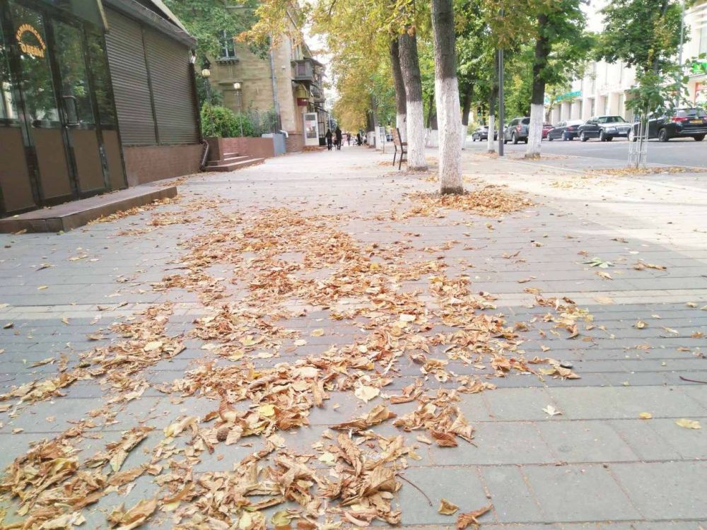 � �������� ��������� ������, � �� ������ �������� ��������� ������ �������� �������� �����