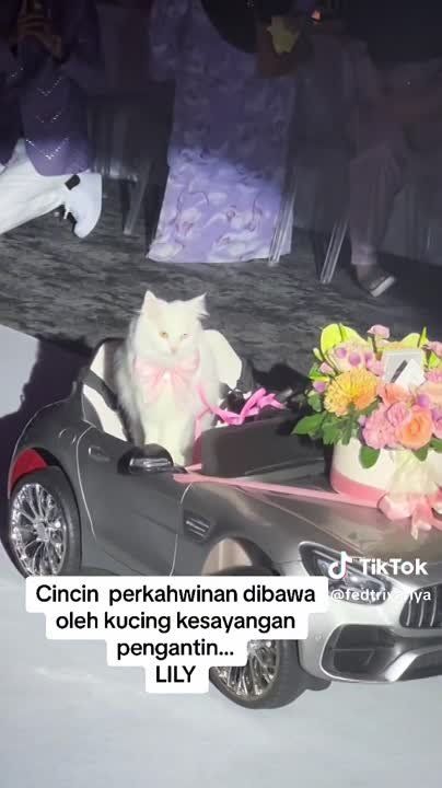 � ������� ������������ ����� � ����������� �������, ��� ����� �������� ����������� ������ �� ���������������� ����-���������