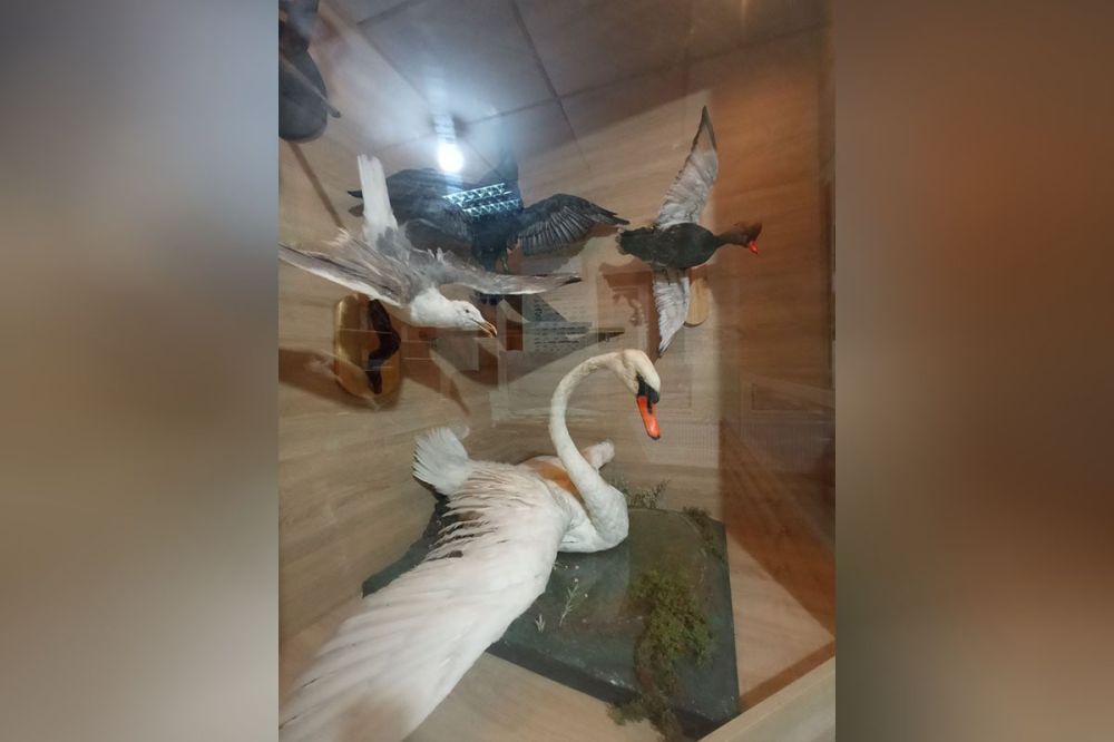 �����, ������, �����, �����, ��������� ���� ��� � ������ �������� � ����� ����� 20 ���������� ������� � ����� ����� � ����������� ��������