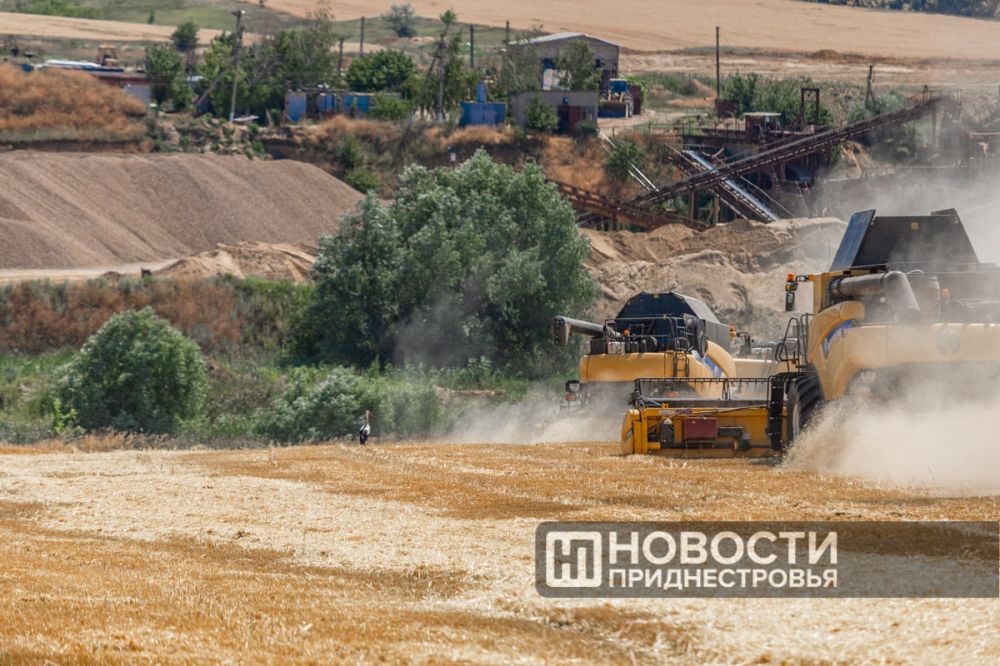 �������� ���� ����� ����� �������������� ������������ �����������