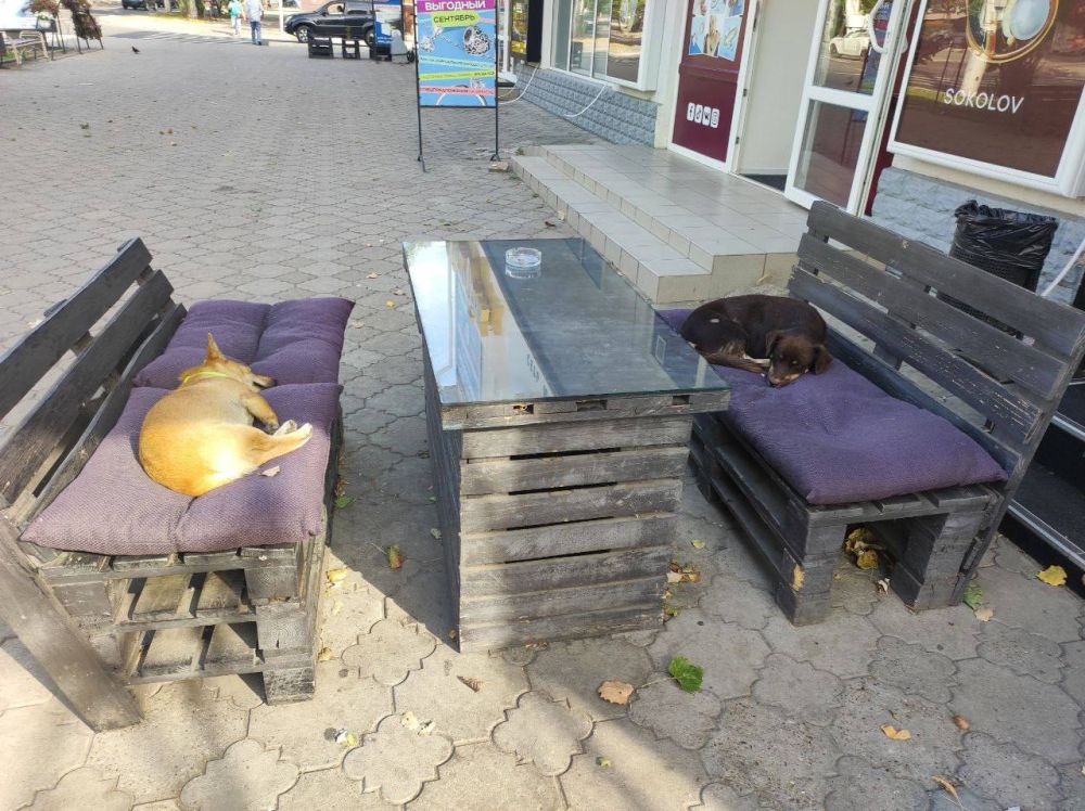 ��������� ������ � ������ ������