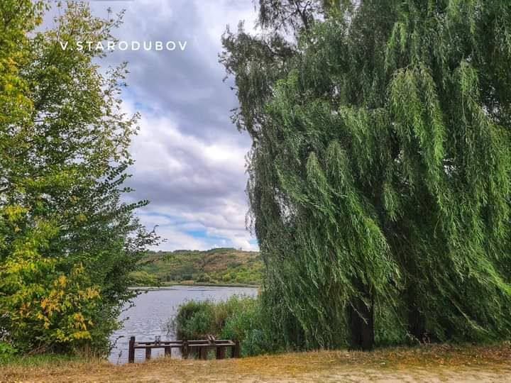 �������. �����. �����.. ���� ��������� �����������