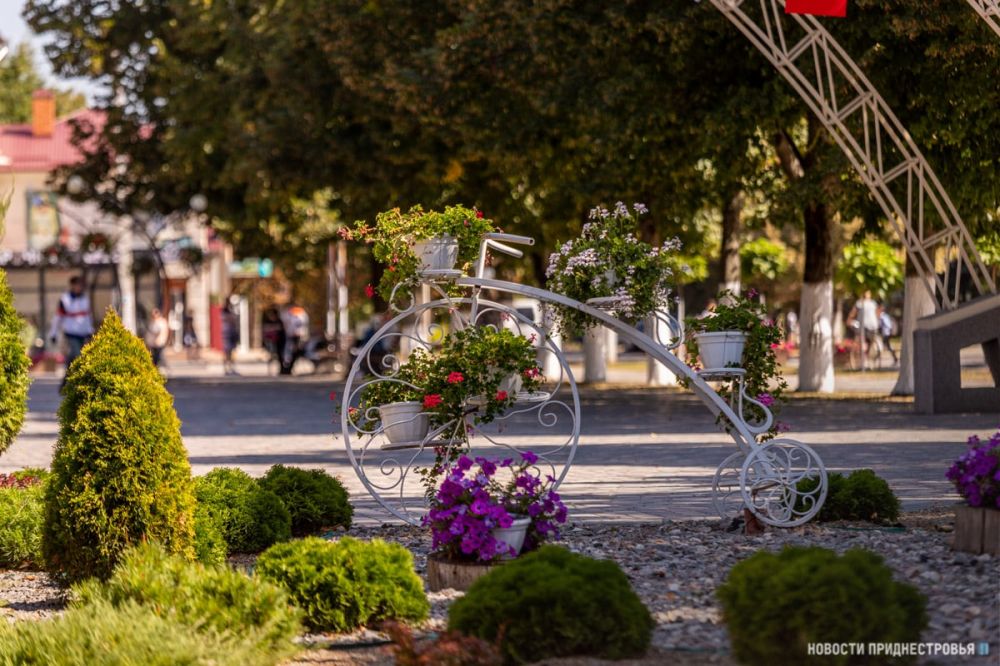 ��������� �������� 254-����� �� ��� ������� ���������� � ����������