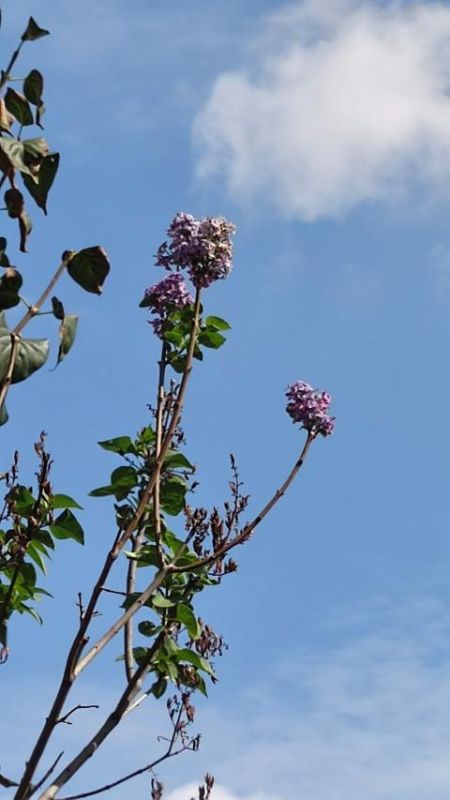 ��������� ����� - �������� ������.