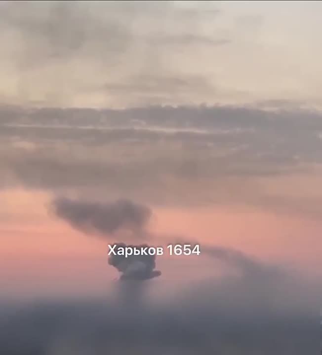 �������� ���� �� �����.. ������ ���� ������� ������