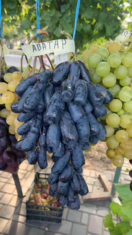 ������� � ������� ��������