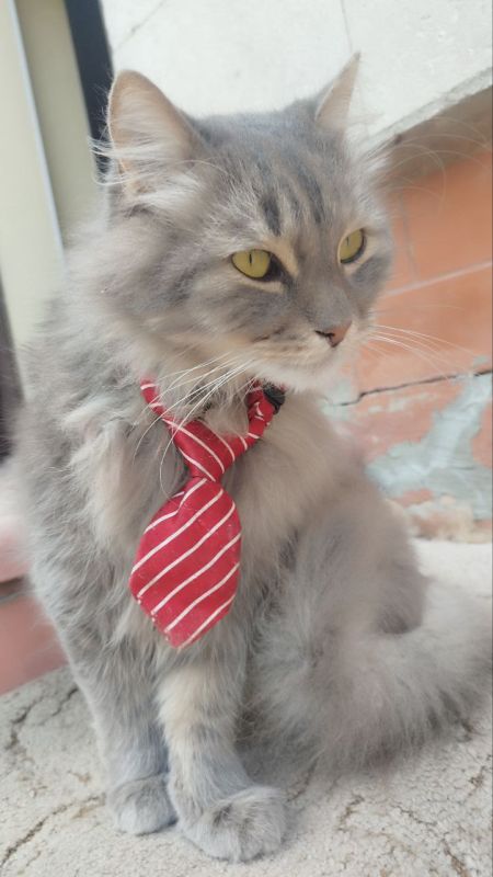 ���������� ��� �� ���������� ������