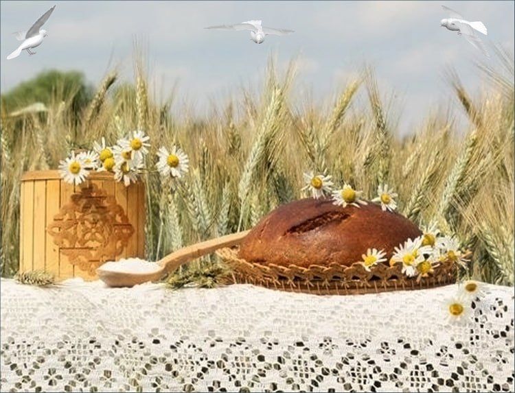 ��������� ������ �� ���������, ��������� � �������������!