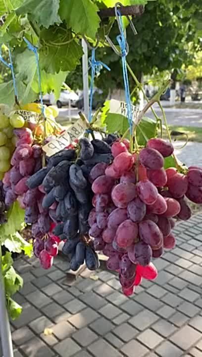 ����� ����������� �� 45 ����� ���������, ��������� ��� � ������ �� ������� ���������