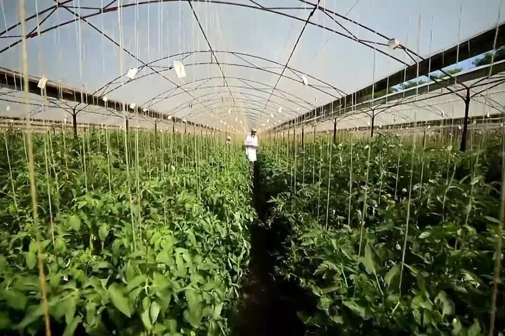 �� ����� � ���������� ���������