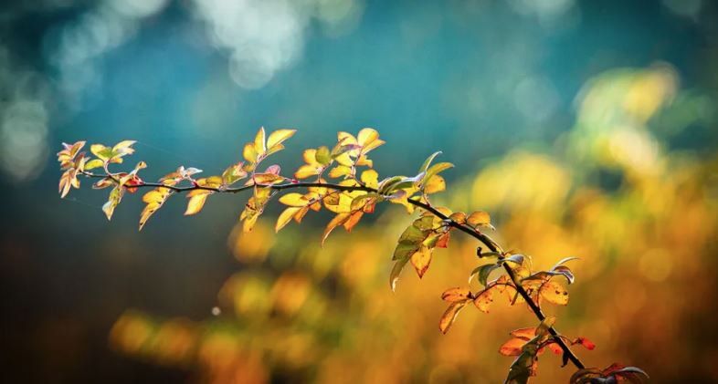 ������ ���� ���������� � �����