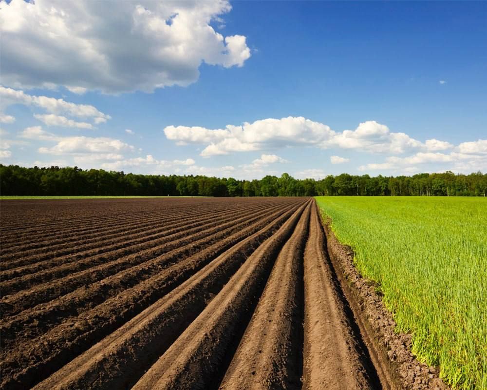 ������������� ���������� ��������� ������ �� ������� �����