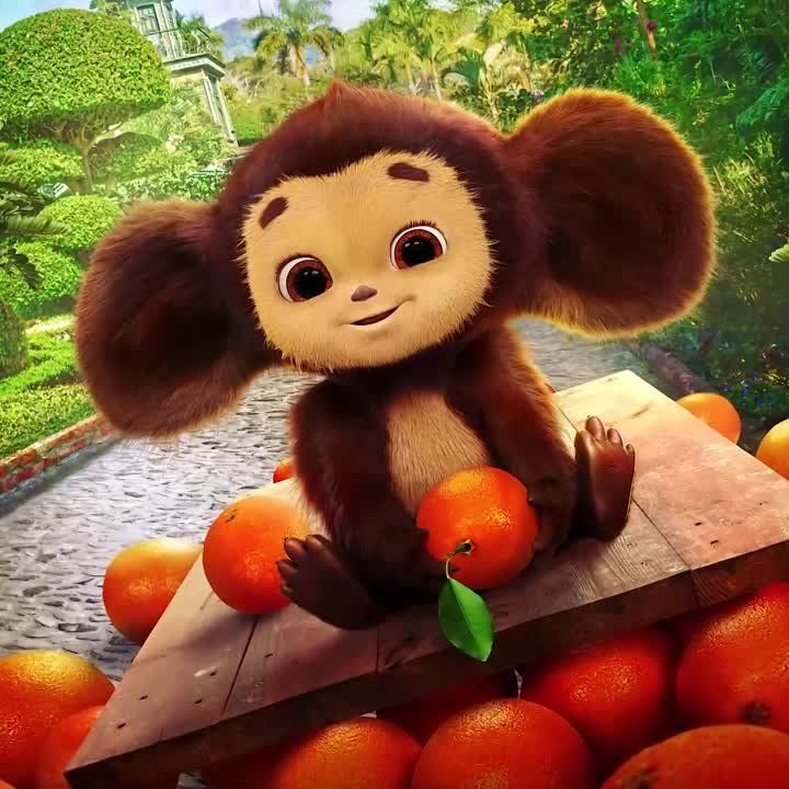 ����������-2� � � ���� � 1 ������ 2026-��