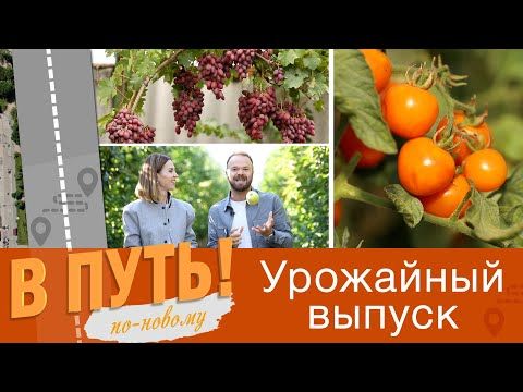 ��� ������ ����� ���� ��� ��������, ����� �������� �� �� �����, � ��� �� ��� ������� ����� ������������ � �� ����! ��-������ � ����� ����� ������, ���� ��� ������� ��������