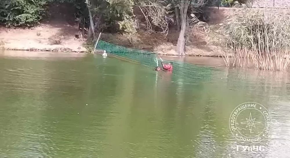 ����������� ������. �� ��������� 22 �������� �� ����� ������� � �������������� ����� �. ���������