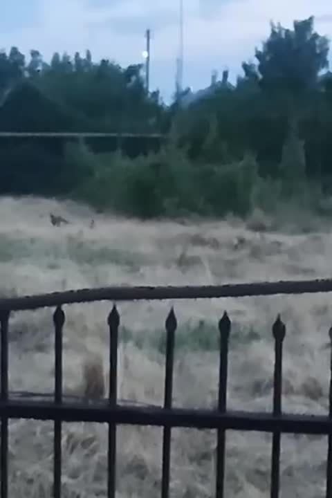 ���� ������������ � ������������� ������