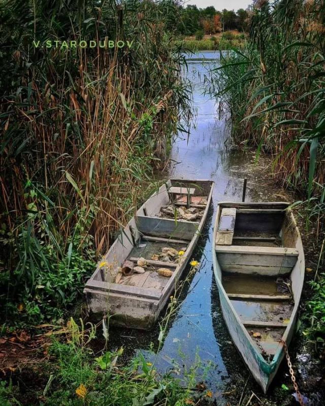 �����. �����. ��������.. ���� ��������� �����������