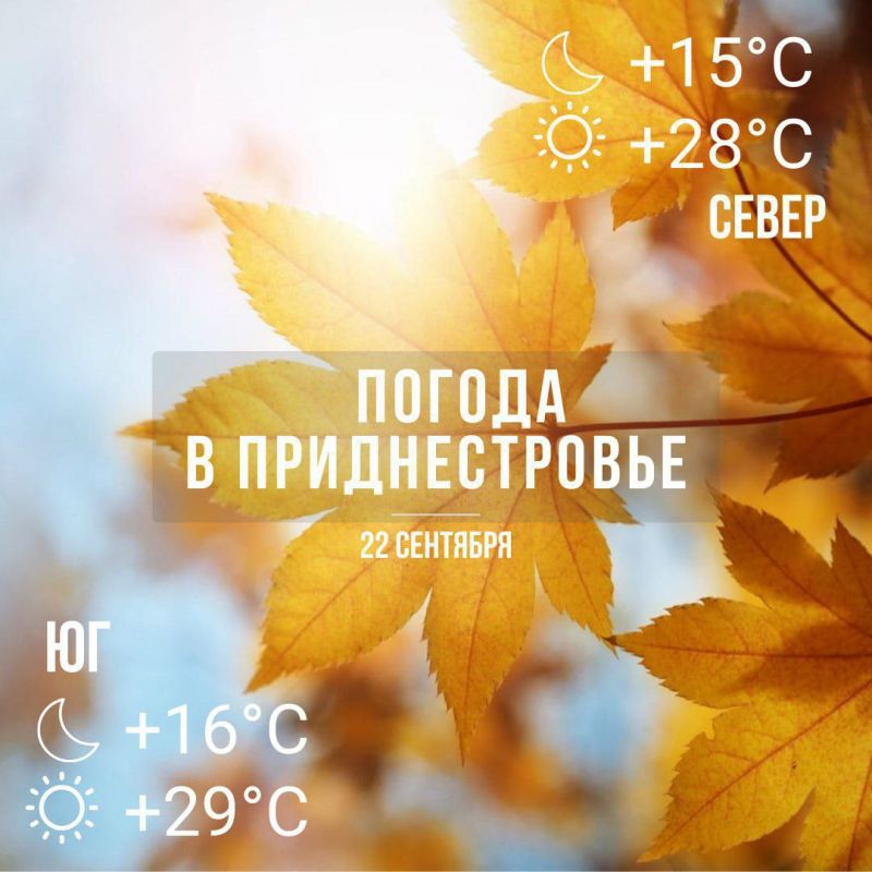 ��� ���� ������ ������.