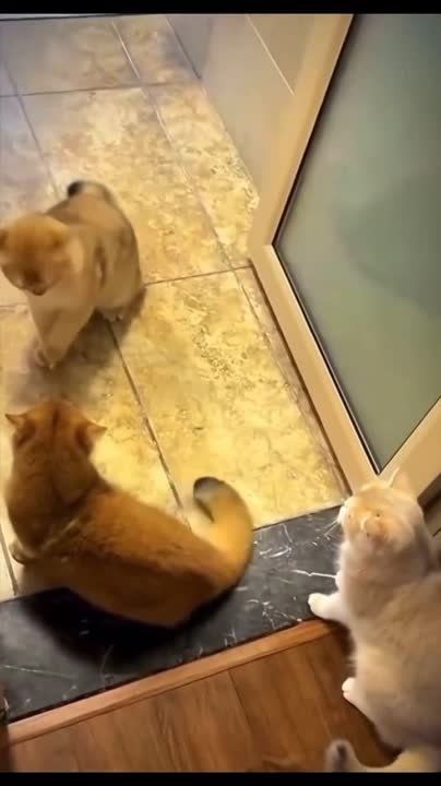 ����� ���� ���� ������ �� ����������.