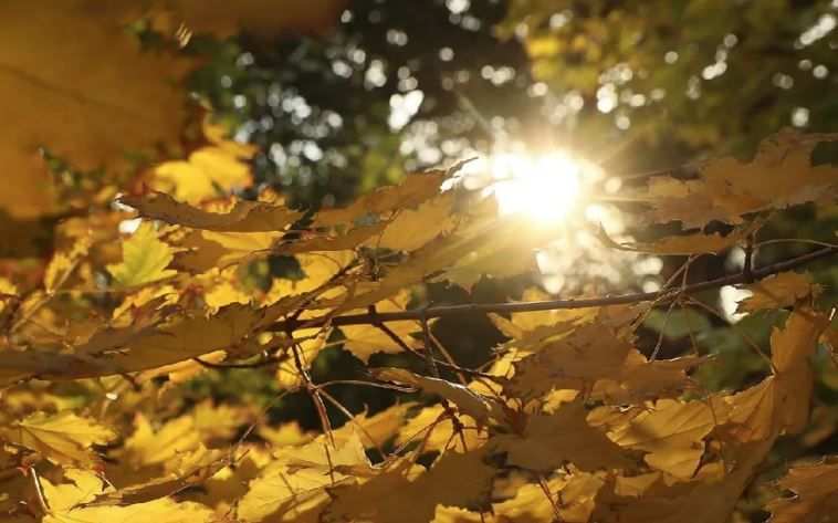 ������� ��� ������ ��� ���������� ������������� ���� �������� ������