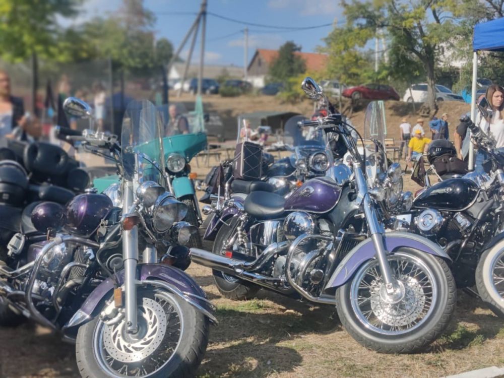 �������� ����� ������. ���������� ������ �������� ������������� ����������� ��������� "�������". �������� �������� � ��������